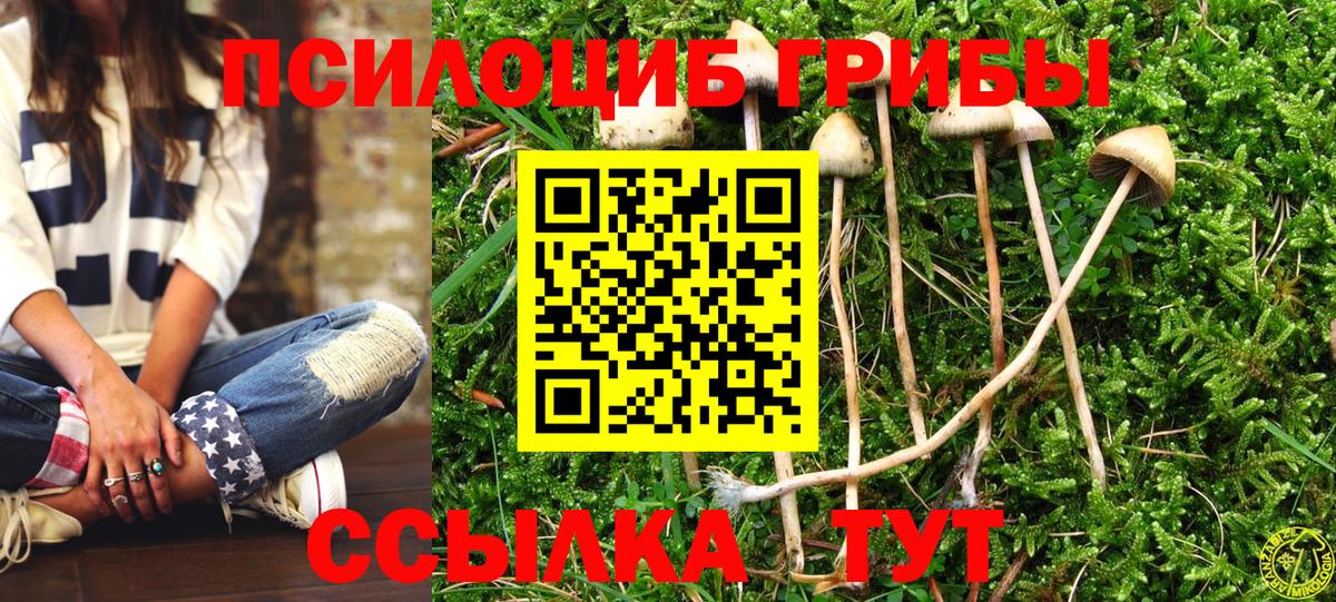 Галлюциногенные грибы MAGIC MUSHROOMS Кудрово